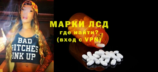 спиды Болотное