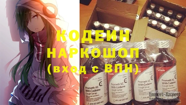 спиды Болотное