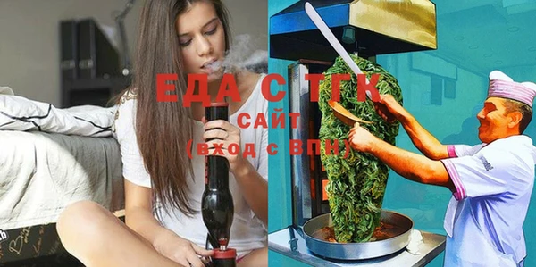 индика Устюжна