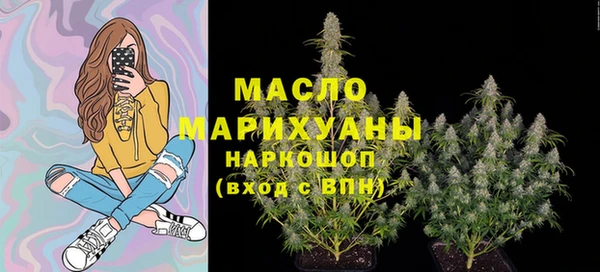 ешки Инта