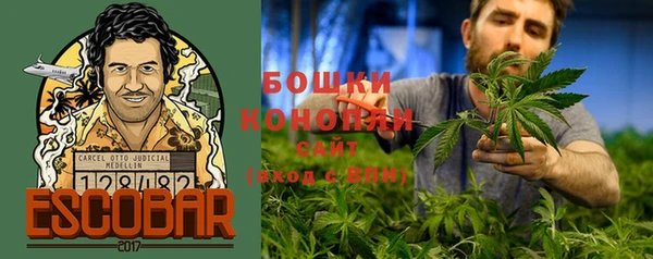 спиды Болотное
