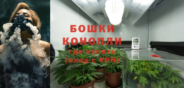 спиды Болотное
