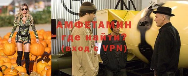 индика Устюжна