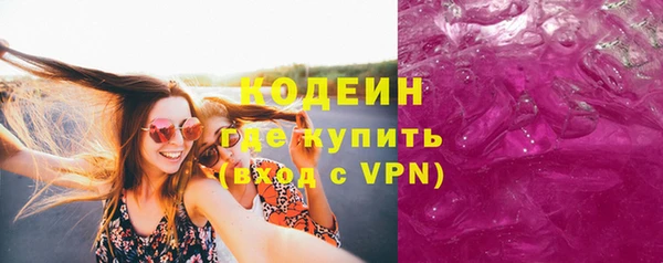 спиды Болотное