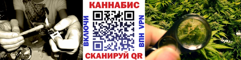Шишки марихуана сатива Лагань